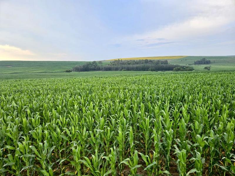 0 Bedroom Property for Sale in Bethlehem Rural Free State